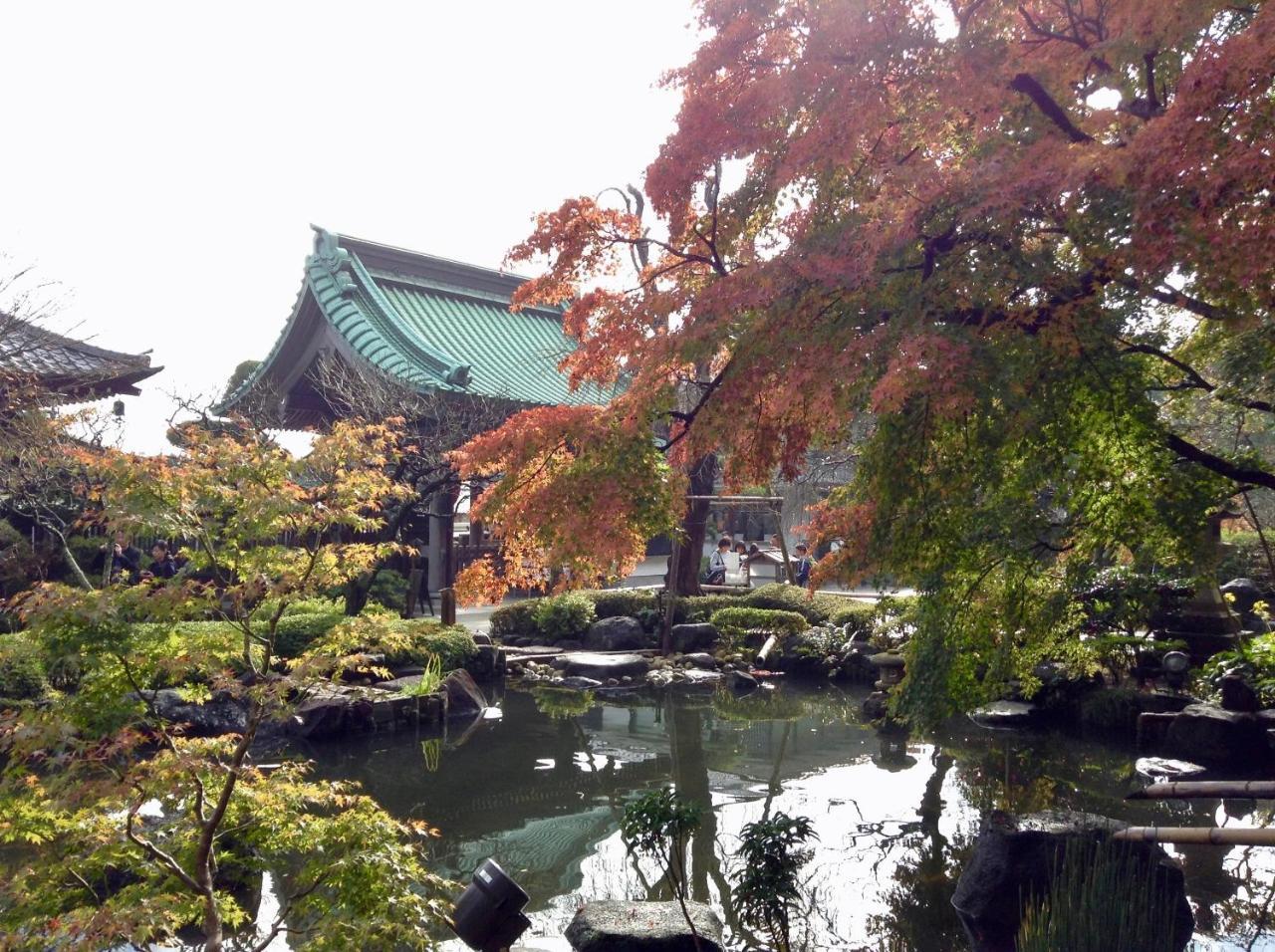 镰仓海滨住宿加早餐旅馆 镰仓市 外观 照片